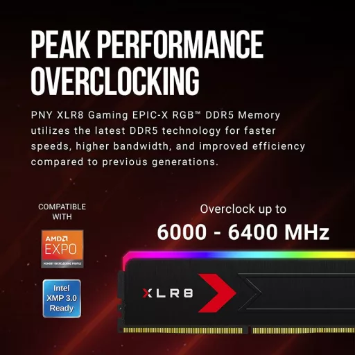 PNY MD32GK2D5600036XRGB 32 GB 2 x 16 GB DDR5 288-pin DIMM