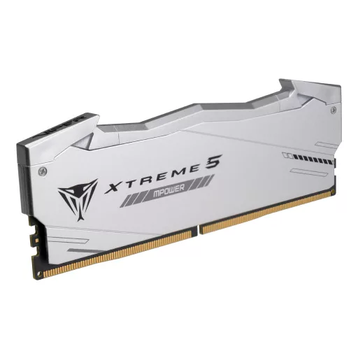 Patriot Memory Viper Xtreme 5 RGB 48 GB 2 x 24 GB DDR5 6400 MT/másodperc 288-pin DIMM ECC