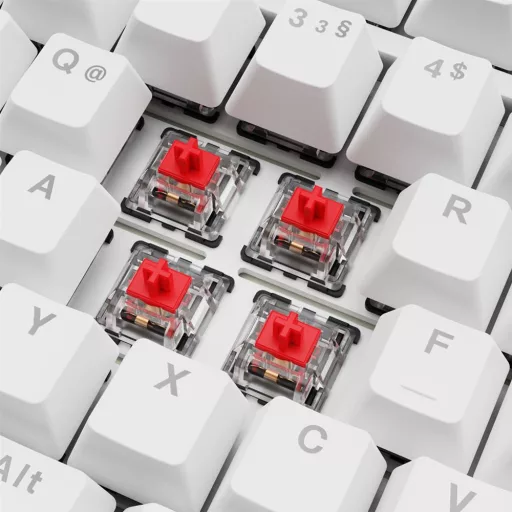 Sharkoon SGK25 billentyűzet Otthoni USB QWERTZ Német Fehér