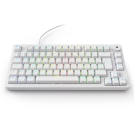 Sharkoon SGK25 billentyűzet Otthoni USB QWERTZ Német Fehér