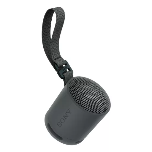 Sony SRS-XB100 Mono hordozható hangszóró Fekete