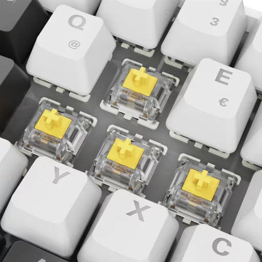 Sharkoon SGK50 S4 billentyűzet Otthoni USB QWERTZ Német Fehér