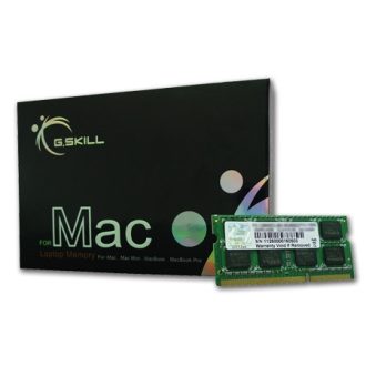 G.Skill 8GB DDR3-1600 1 x 8 GB