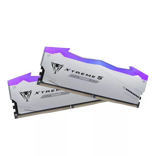 Patriot Memory Viper Xtreme 5 PVXR548G80C38KM 48 GB 2 x 24 GB DDR5 288-pin DIMM
