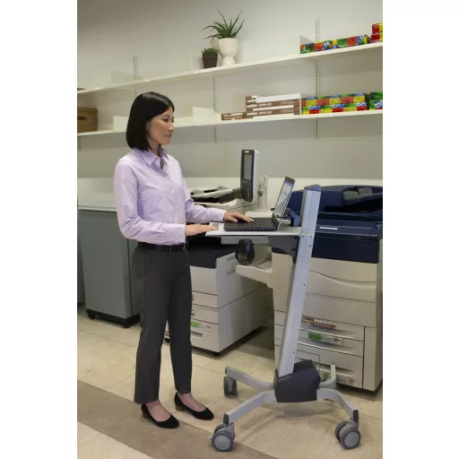 Ergotron Neo-Flex Laptop Cart Szürke Gurulós multimédia állvány/kocsi