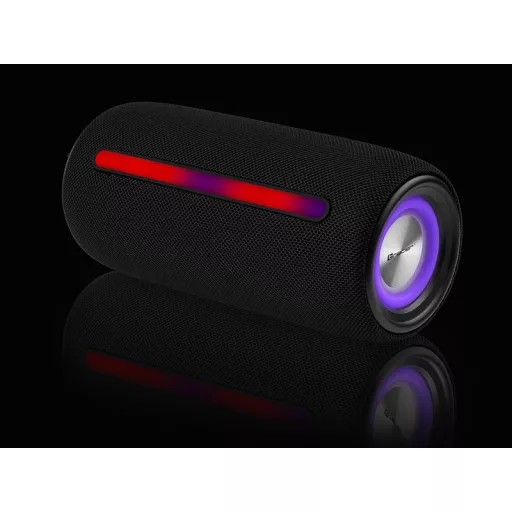 Tracer Stripe Sztereó hordozható hangszóró Fekete 10 W
