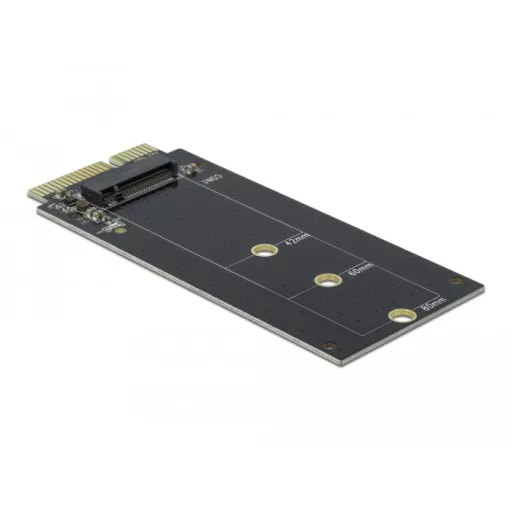 DeLOCK SATA 22 pin male to M.2 Key B slot Belső