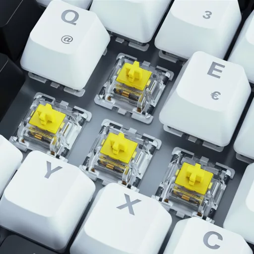 Sharkoon SKILLER SGK50 S3 billentyűzet Játék USB AZERTY Francia Fehér