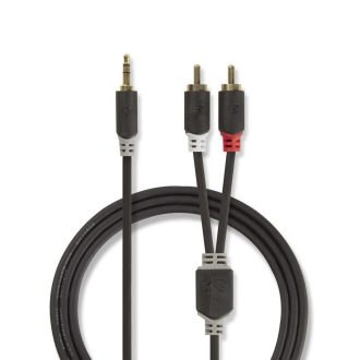 Nedis CABW22200AT10 audio kábel 1 M 3.5mm 2 x RCA Antracit
