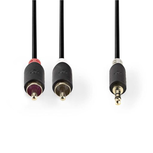 Nedis CABW22200AT10 audio kábel 1 M 3.5mm 2 x RCA Antracit