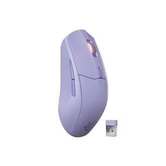   Steelseries 62525 egér Játék Jobbkezes RF vezeték nélküli + Bluetooth Optikai 18000 DPI