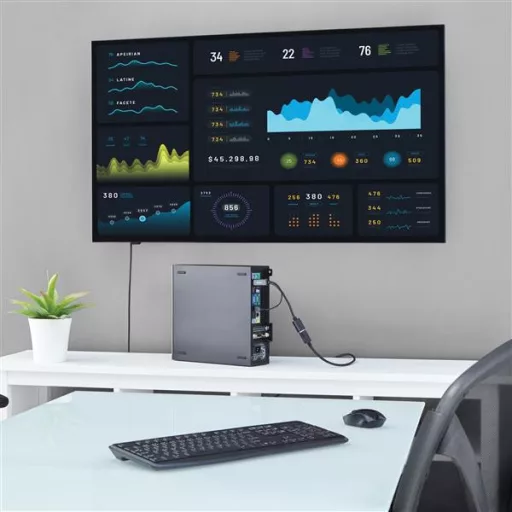 StarTech.com HD2DP video átalakító kábel Fekete