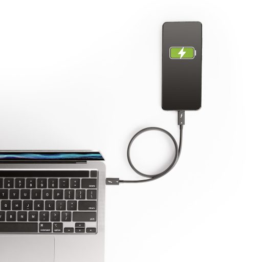 StarTech.com TBLT4MM50CM Thunderbolt kábel 0,5 M 40 Gbit/s Fekete