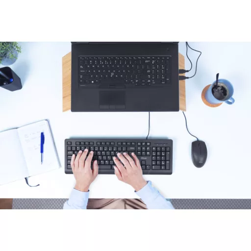 Trust Primo billentyűzet Egér mellékelve Irodai USB Német Fekete