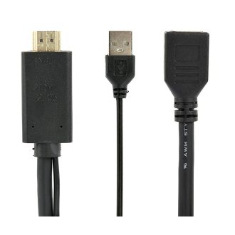   Gembird A-HDMIM-DPF-01 video átalakító kábel 0,1 M HDMI A-típus (Standard) DisplayPort + USB Type-A Fekete