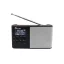 Radio ULA DAB+ silver