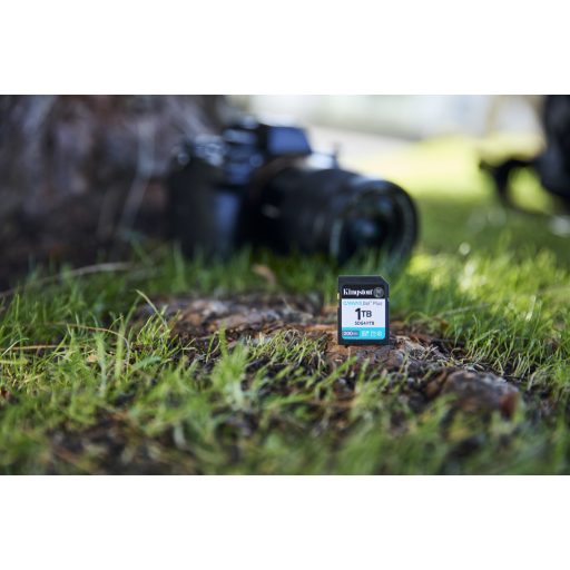 Kingston Technology Canvas Go! Plus 1 TB SDXC UHS-I Class 10