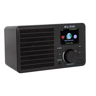 Radio RI1 internet