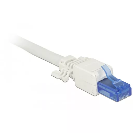 DeLOCK 86417 huzalcsatlakozó RJ-45 Kék, Fehér