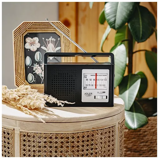 Radio AM/FM AD1909
