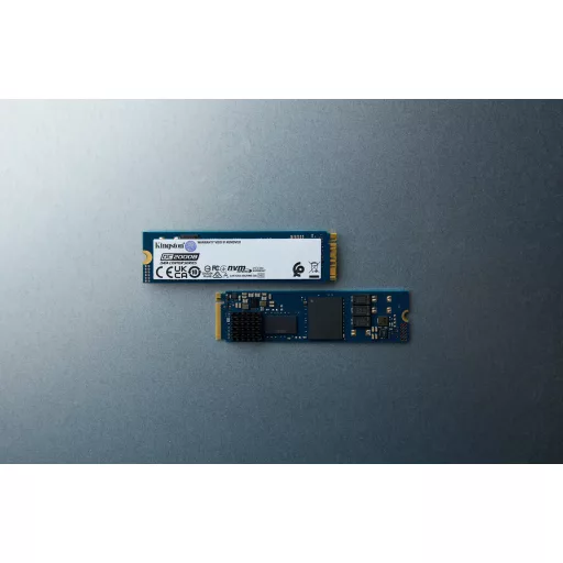 Kingston Technology DC2000B 960 GB M.2 PCI Express 4.0 NVMe 3D TLC