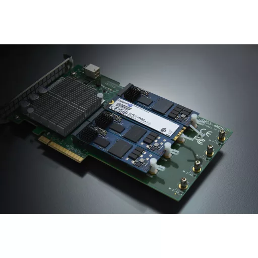 Kingston Technology DC2000B 960 GB M.2 PCI Express 4.0 NVMe 3D TLC