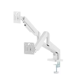   Gembird MA-DA2-06-W asztali TV konzol 81,3 cm (32") Fehér