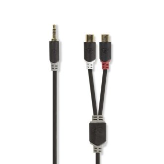 Nedis CABW22250AT02 audio kábel 3.5mm 2 x RCA Antracit