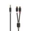 Nedis CABW22250AT02 audio kábel 3.5mm 2 x RCA Antracit