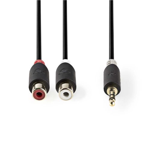 Nedis CABW22250AT02 audio kábel 3.5mm 2 x RCA Antracit