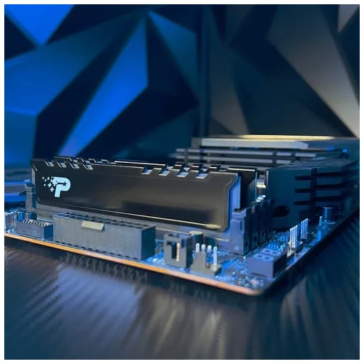 Patriot Memory Signature Line PSP532G5600KH1 32 GB 2 x 16 GB DDR5 288-pin DIMM