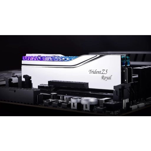 G.Skill Trident Z5 Royal F5-6400J3239G16GX2-TR5S 32 GB 2 x 16 GB DDR5