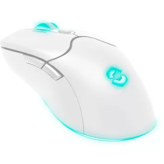   SPEEDLINK SL-680102-WT egér Játék Jobbkezes RF Wireless + USB Type-A Optikai 4800 DPI