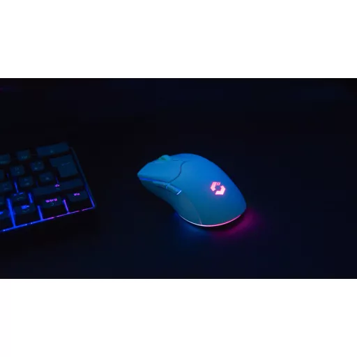 SPEEDLINK SL-680102-WT egér Játék Jobbkezes RF Wireless + USB Type-A Optikai 4800 DPI