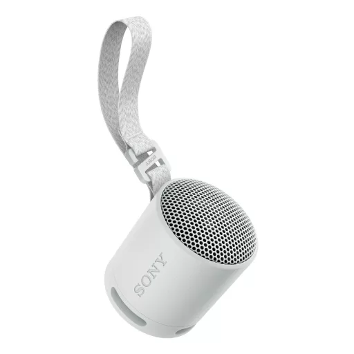 Sony SRS-XB100 Mono hordozható hangszóró Szürke