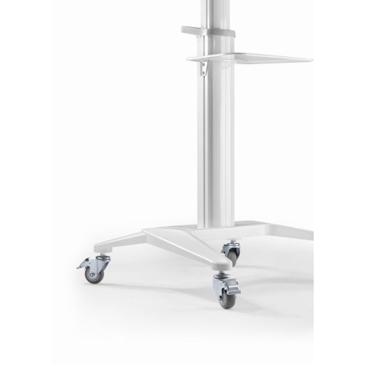 Gembird Aluminum TV floor stand with caster wheels, 37" - 70", baltas |