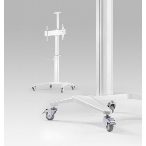 Gembird Aluminum TV floor stand with caster wheels, 37" - 70", baltas |
