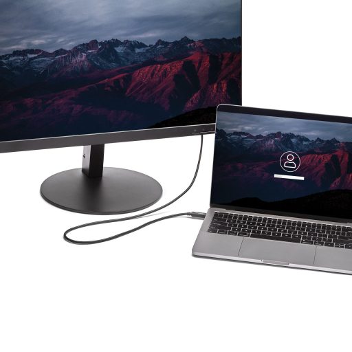 StarTech.com CDP2DVIMM2MB video átalakító kábel 2 M USB C-típus DVI-D Fekete