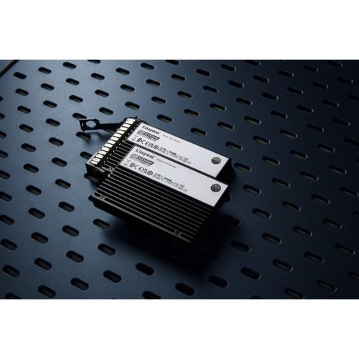 Kingston Technology DC3000ME 3,84 TB U.2 PCI Express 5.0 NVMe 3D eTLC