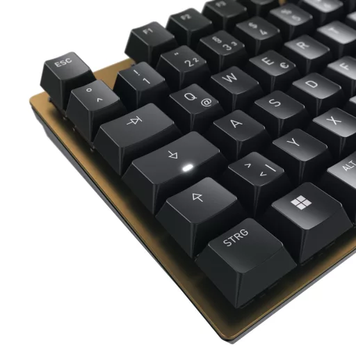 CHERRY KC 200 MX billentyűzet Univerzális USB QWERTZ Német Fekete, Bronz