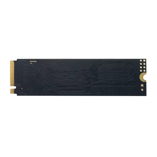 Patriot Memory P310 240 GB M.2 PCI Express 3.0 NVMe