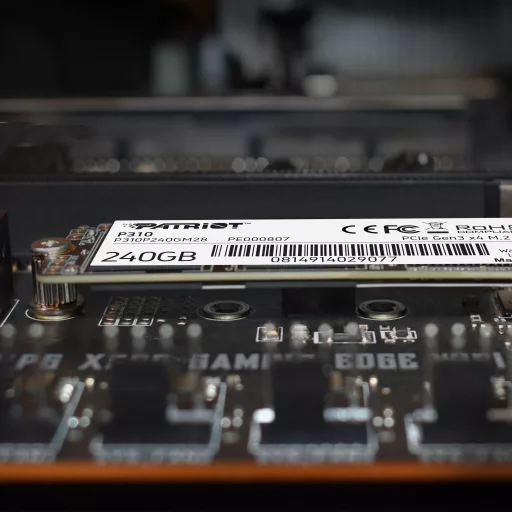 Patriot Memory P310 240 GB M.2 PCI Express 3.0 NVMe