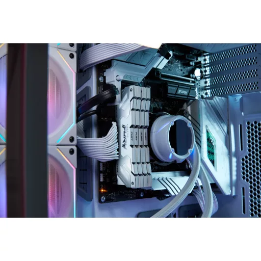 Kingston Technology FURY Renegade 24 GB 1 x 24 GB DDR5 8800 MT/másodperc 288-pin DIMM