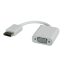 ROLINE DisplayPort-VGA Adapter, M/F VGA (D-Sub) Fehér