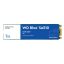 Western Digital Blue SA510 1 TB M.2 Serial ATA III