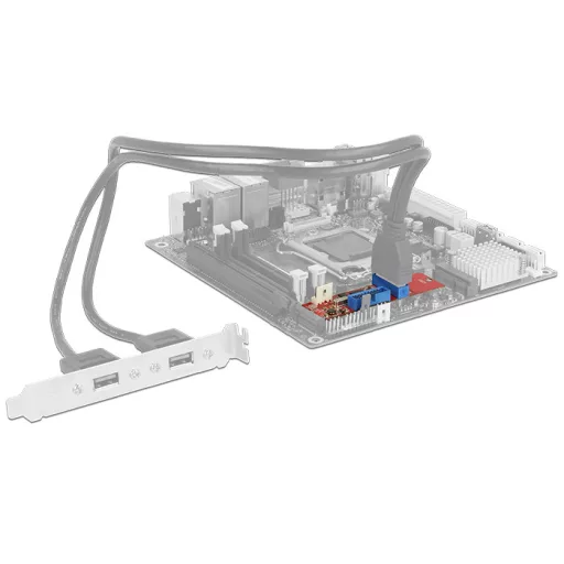 DeLOCK 62843 Belső USB 3.2 Gen 1 (3.1 Gen 1)