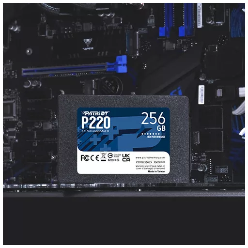 Patriot Memory P220 256GB 2.5" Serial ATA III