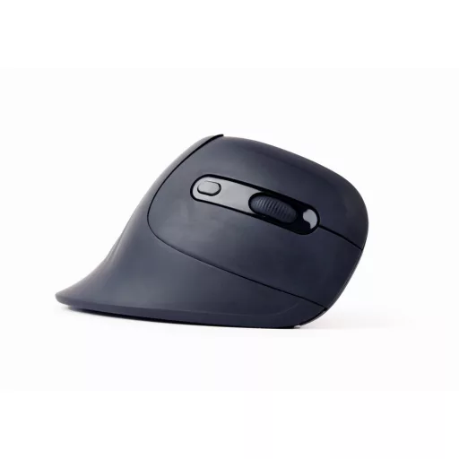 Gembird MUSW-ERGO-03 egér Otthoni Jobbkezes Vezeték nélküli RF Optikai 1600 DPI
