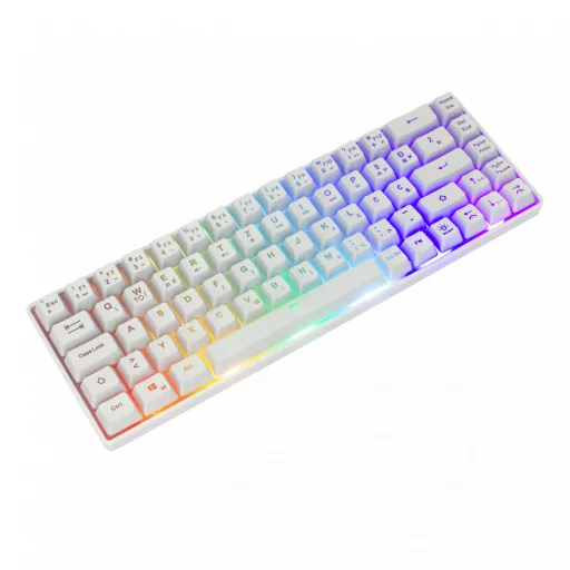 White Shark RONIN White billentyűzet Univerzális USB QWERTY Angol Fehér