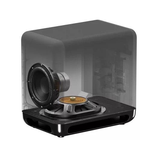Sony SA-SW5 Fekete Passzív mélysugárzó 300 W